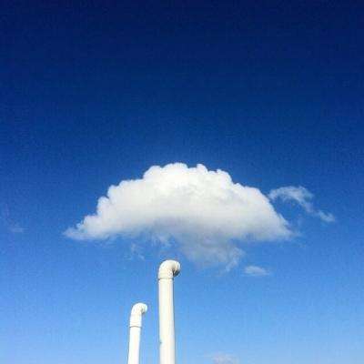 江湖求生抢先版下载